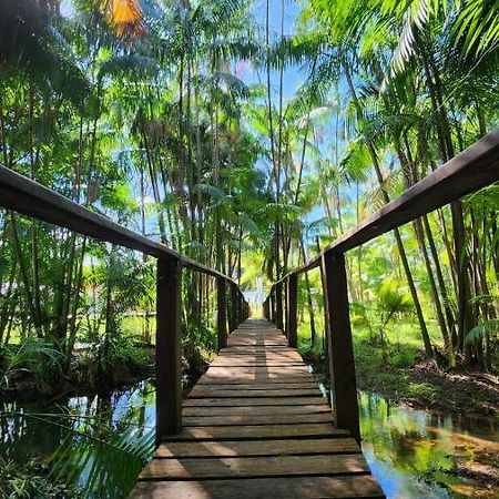 Casa Da Mata Marajo Villa ซาลวาแตร์รา ภายนอก รูปภาพ