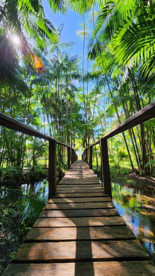 Casa Da Mata Marajo Villa ซาลวาแตร์รา ภายนอก รูปภาพ