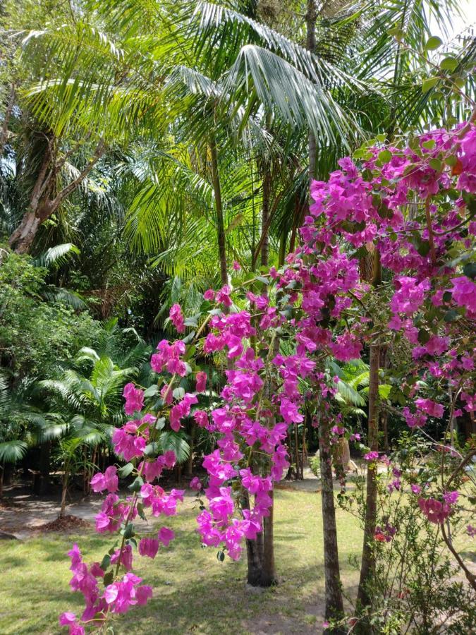 Casa Da Mata Marajo Villa ซาลวาแตร์รา ภายนอก รูปภาพ