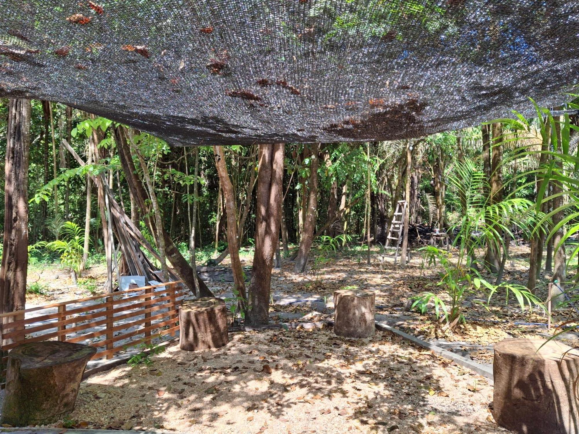 Casa Da Mata Marajo Villa ซาลวาแตร์รา ภายนอก รูปภาพ